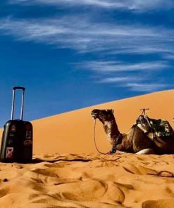 Alternative view of 3 Days/2nights in Erg Chegaga Desert from Marrakech