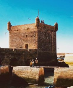 Alternative view of Day trip to Essaouira from Marrakech