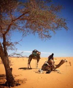 2 Days Ouarzazate Erg Lihoudi