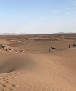 Trekking dans le désert Marocain