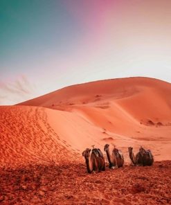 2 Days Ouarzazate Erg Chegaga