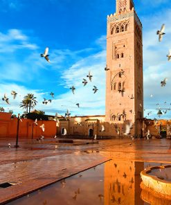 Alternative view of 2 Days/1night to Zagora desert from Marrakech