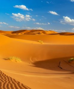 Tours From Mhamid
