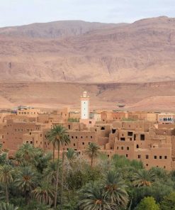 Alternative view of 1Nuit dans les dunes de Zagora Désert