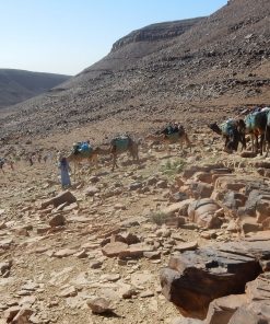 Désert Marocain - Trekking - Circuits - Excursions, Voyage en famille et en groupe,Trek désert Maroc | Maroc voyage désert | Excursion Sahara