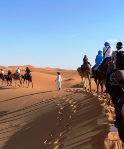Voyage en famille dans le désert