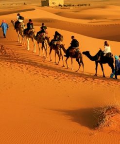 Alternative view of 2 Days-1 Night in the Zagora desert