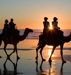 Tours From Agadir