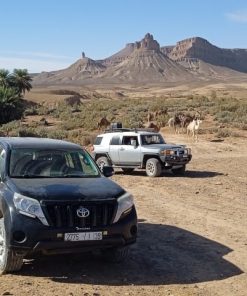 Circuits départ de Mhamid