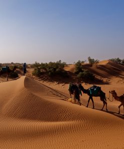 CHEGAGA DUNES