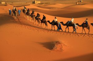 desert maroc